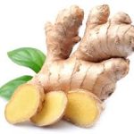 Ginger